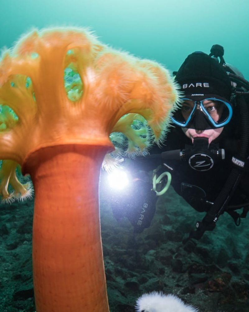 vancouver-boat-tours