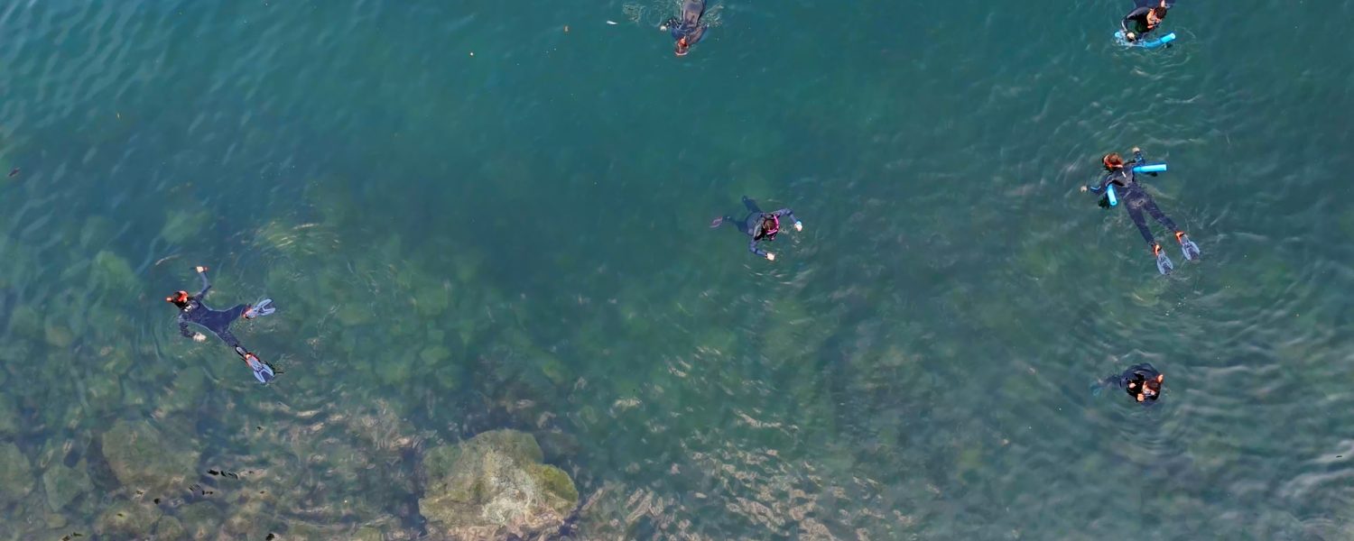 Still 2024-10-11 181623_1.261.3