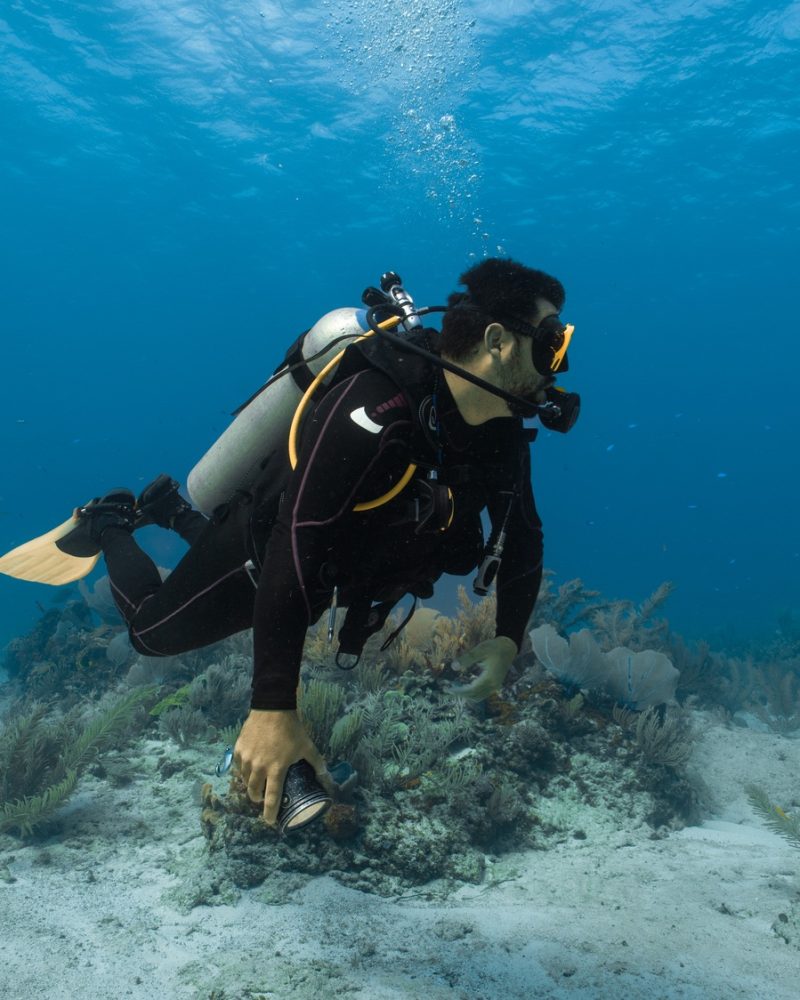 dive instructor guiding underwater in mexico